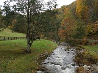 HemlockOnNettleCreek